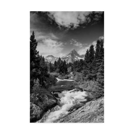 Michael Blanchette Photography 'Glacial Creek Monochrome' Canvas Art,12x19
